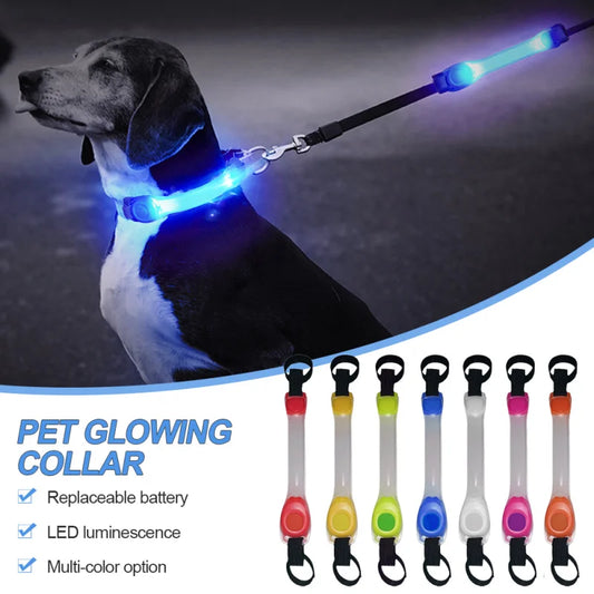 Glowing Collar