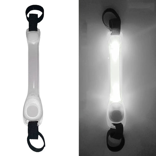 Glowing Collar