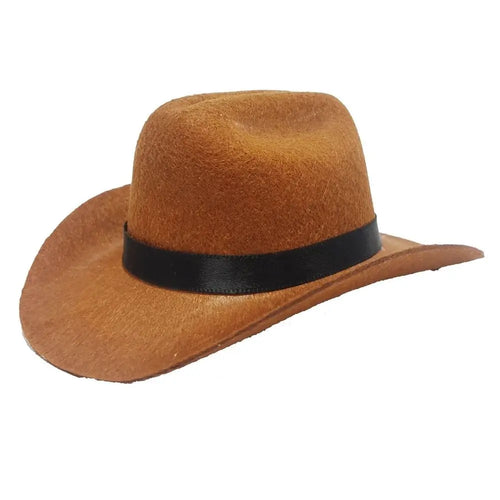 British Pet Dog Hat Star Cowboy Hat
