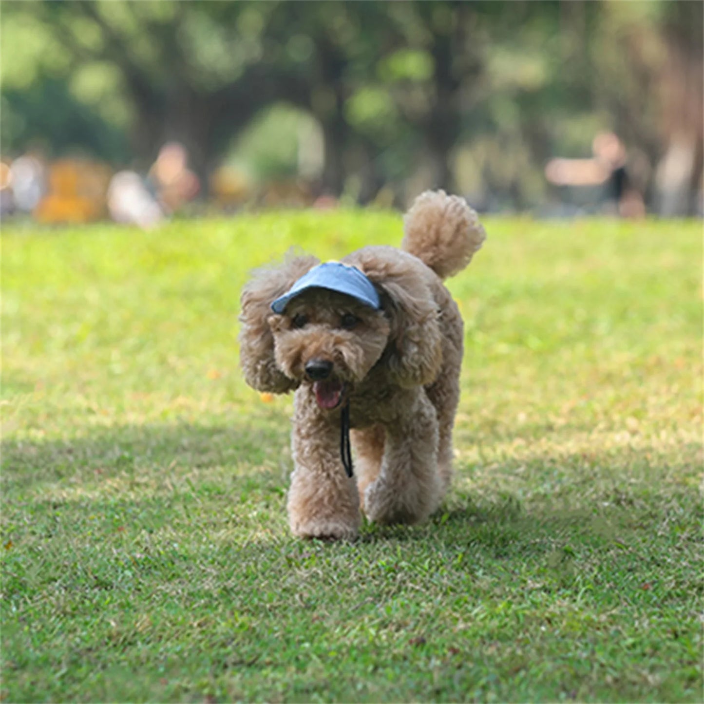 Sun Cap Visor Hat