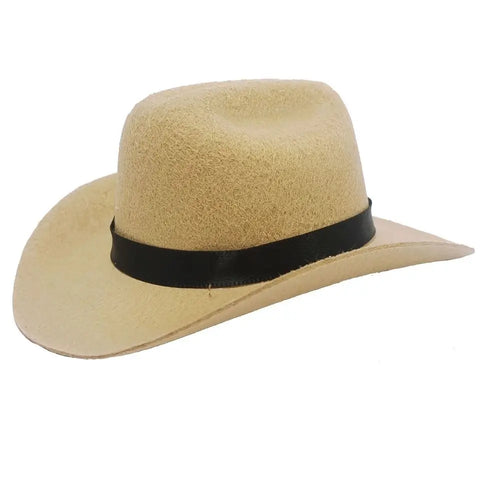 British Pet Dog Hat Star Cowboy Hat