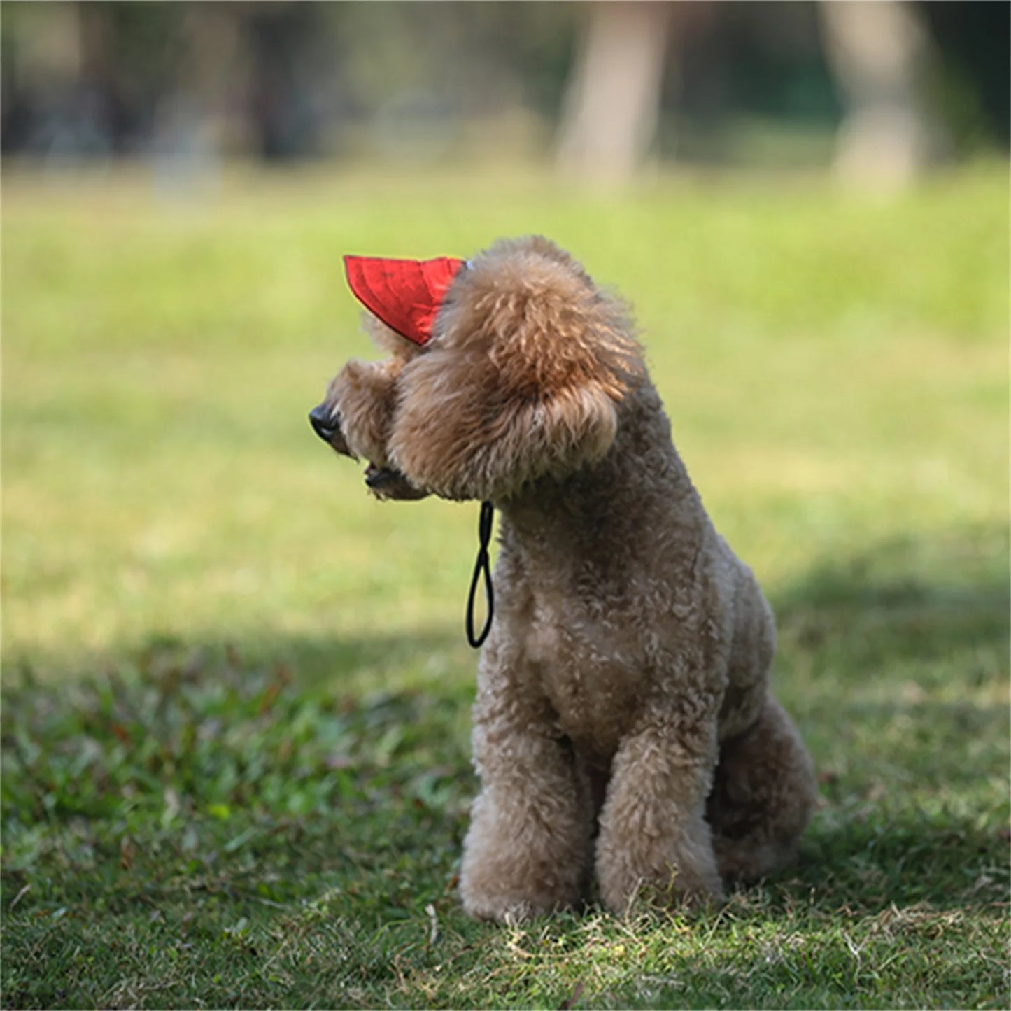Sun Cap Visor Hat