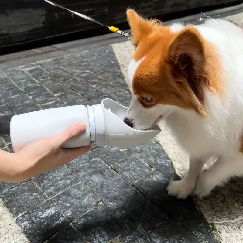 Outdoor Water Mug for Dogs – Portable, Leak-Proof & Foldable