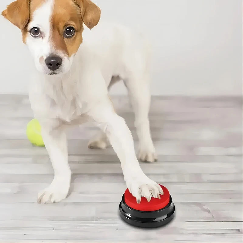 Interactive Recordable Dog Toy – Fun, Portable & Perfect for Training