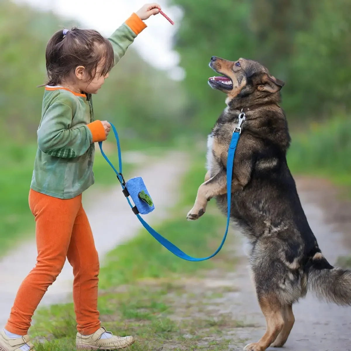 Pet Waste Bags Carrier