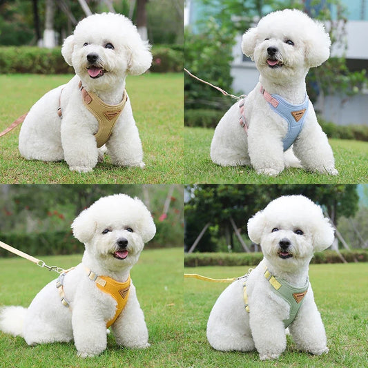 Soft & Comfortable Dog Harness with Leash Set