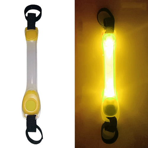 Glowing Collar