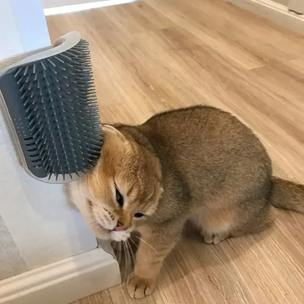 Pet Cats Corner Brush