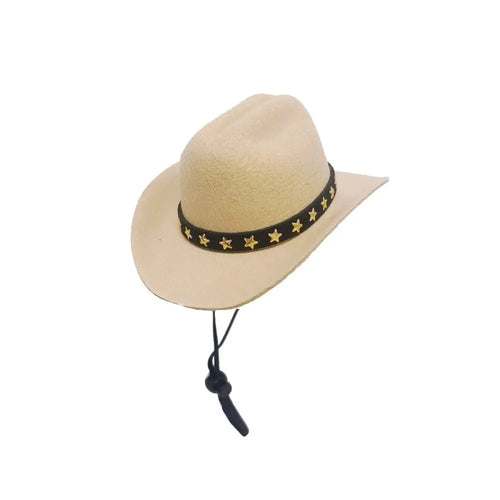 British Pet Dog Hat Star Cowboy Hat